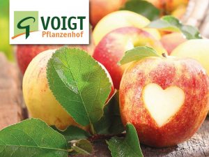Obst-Fest mit neuer Ernte @ Voigt Pflanzen GmbH